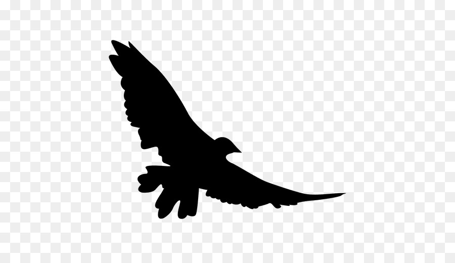 Bird Silhouette Flight - flying animal png download - 512*512 - Free Transparent Bird png Download.