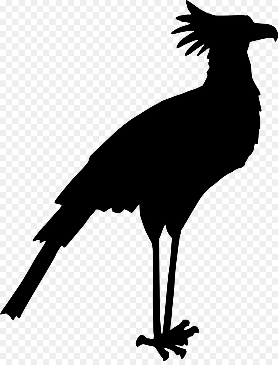 Bird Drawing Clip art - birds silhouette png download - 1851*2400 - Free Transparent Bird png Download.