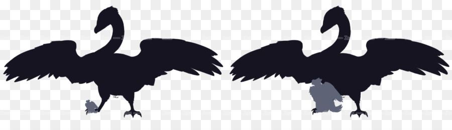 Beak Bird Crane Feather Silhouette - bird png download - 2997*802 - Free Transparent Beak png Download.