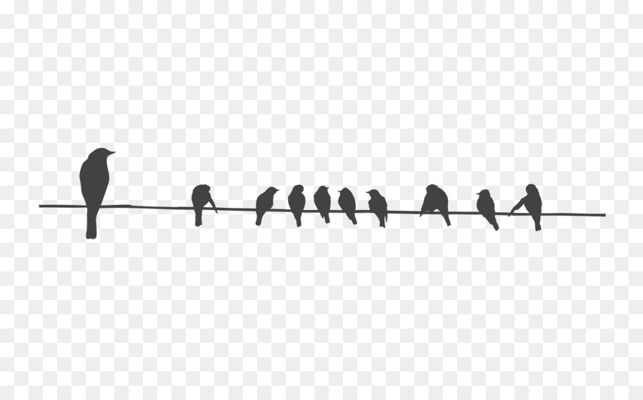 Bird Wire Columbidae Stencil - wall decal png download - 800*550 - Free Transparent Bird png Download.