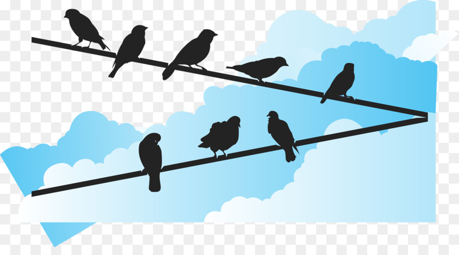Bird Euclidean vector Wire - Blue sky under the bird vector png download - 6749*3640 - Free Transparent Bird png Download.