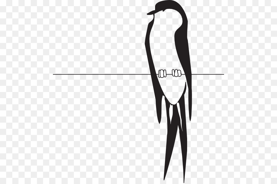 Clip art Bird Vector graphics Download - bird on wire png download - 558*598 - Free Transparent Bird png Download.