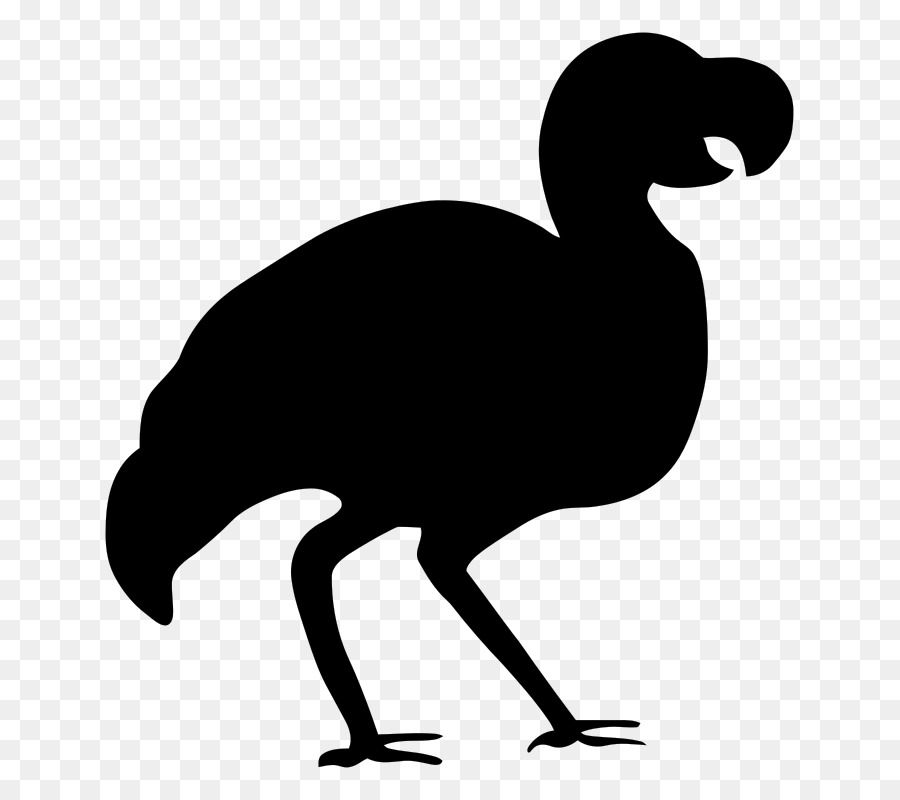 Bird Dodo Silhouette Clip art - silhouettes png download - 753*800 - Free Transparent Bird png Download.