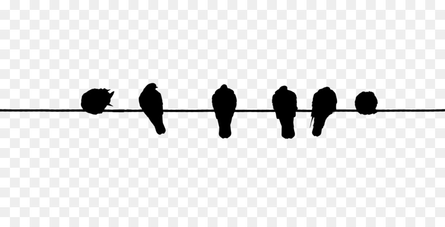 Bird Wire Electrical cable - bird watercolor png download - 1280*640 - Free Transparent Bird png Download.