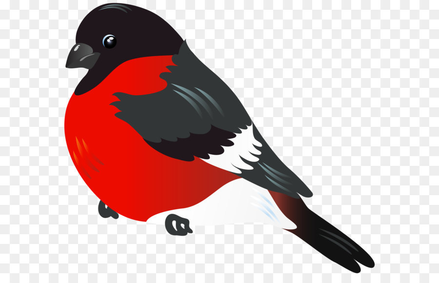 Clip art - Red Bird PNG Clipart Image png download - 6229*5427 - Free Transparent Bird png Download.