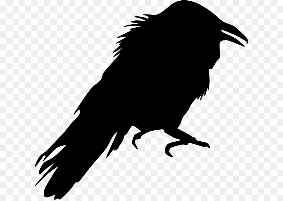 Crow Bird Silhouette Clip art - crow png download - 679*636 - Free Transparent Crow png Download.