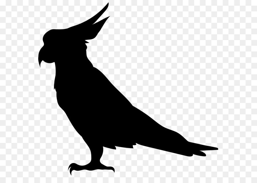 Bird Silhouette Illustration - Parrot Silhouette PNG Transparent Clip Art Image png download - 8000*7642 - Free Transparent Cockatoo png Download.