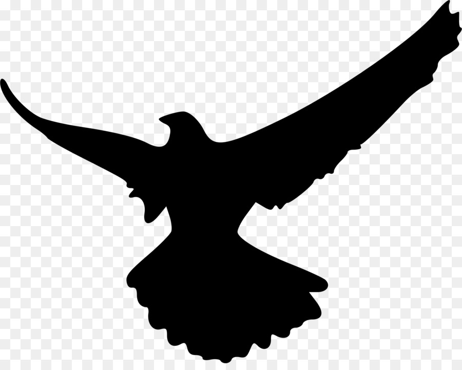 Falcon Silhouette Bird Clip art - eagle png download - 1896*1490 - Free Transparent Falcon png Download.