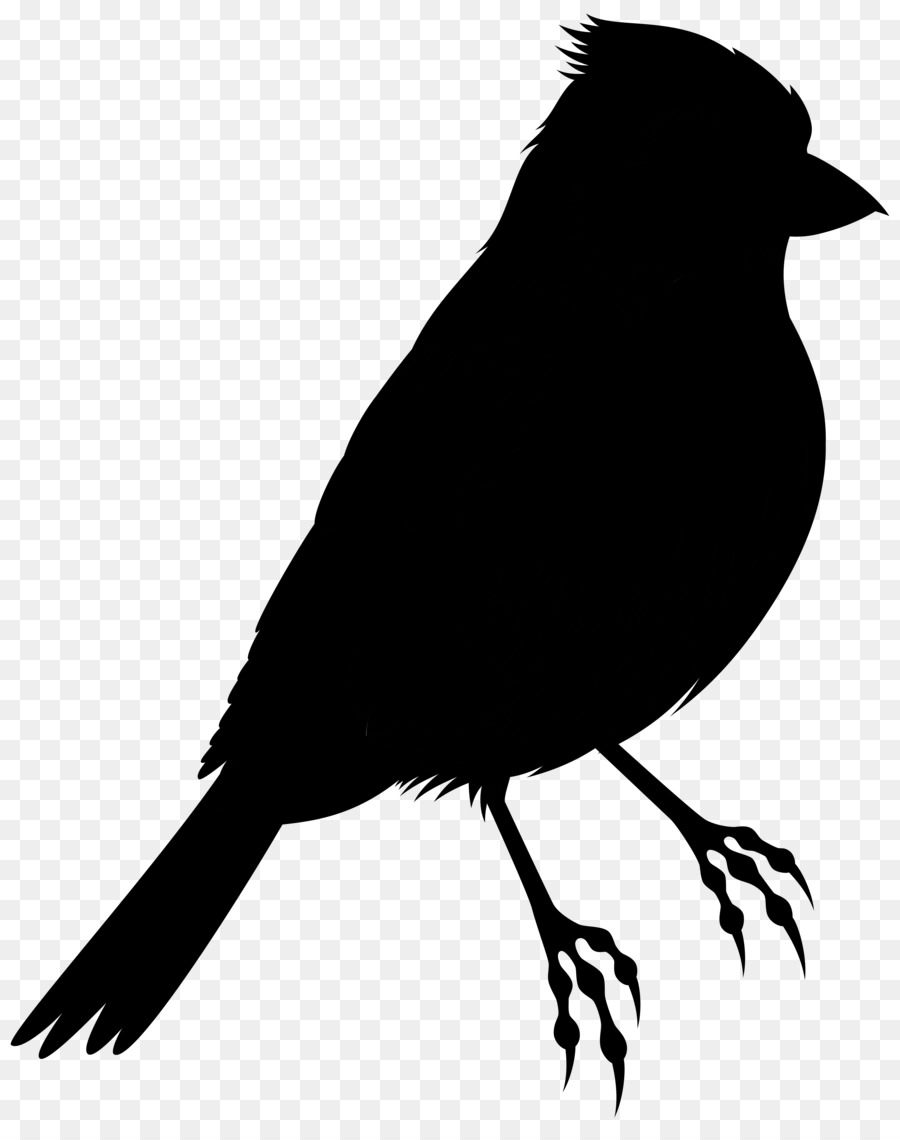 Bird Silhouette Clip art Illustration Drawing -  png download - 6368*8000 - Free Transparent Bird png Download.
