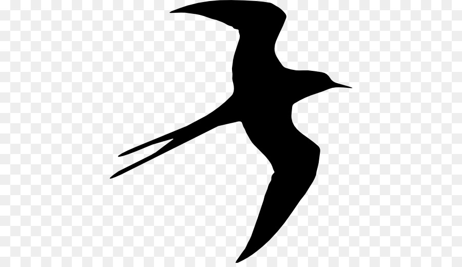 Bird Silhouette Swallow Drawing - Bird png download - 512*512 - Free Transparent Bird png Download.
