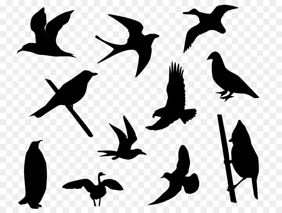 Bird Silhouette Drawing Clip art - bird silhouette png download - 800*673 - Free Transparent Bird png Download.