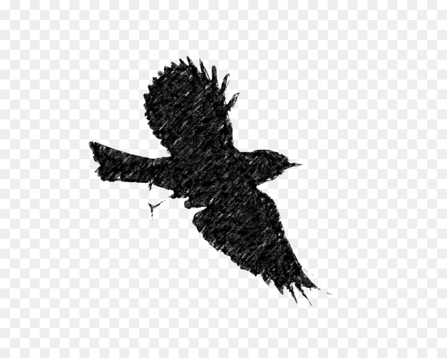 Bird Flight European robin Silhouette Clip art - Bird png download - 992*776 - Free Transparent Bird png Download.