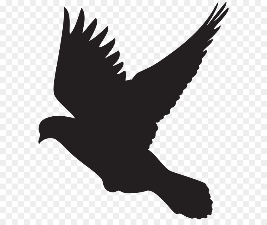 Columbidae Bird Flight Silhouette Clip art - Flying Dove Silhouette PNG Clip Art png download - 6971*8000 - Free Transparent Columbidae png Download.