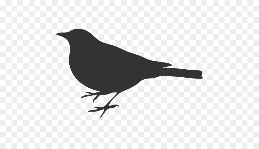 Bird Silhouette Clip art - Bird png download - 512*512 - Free Transparent Bird png Download.