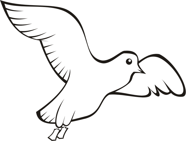 Bird Beak Domestic pigeon Columbidae Clip art - Bird png download - 793 ...