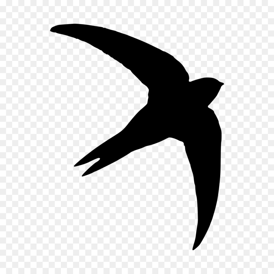 Common swift Silhouette Photography Bird - Silhouette png download - 1024*1024 - Free Transparent Common Swift png Download.