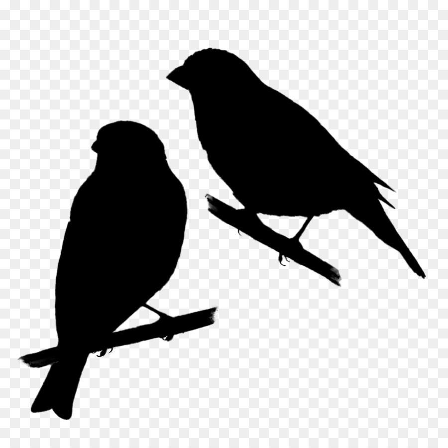 American crow American Sparrows Beak Fauna Silhouette -  png download - 2113*2113 - Free Transparent American Crow png Download.