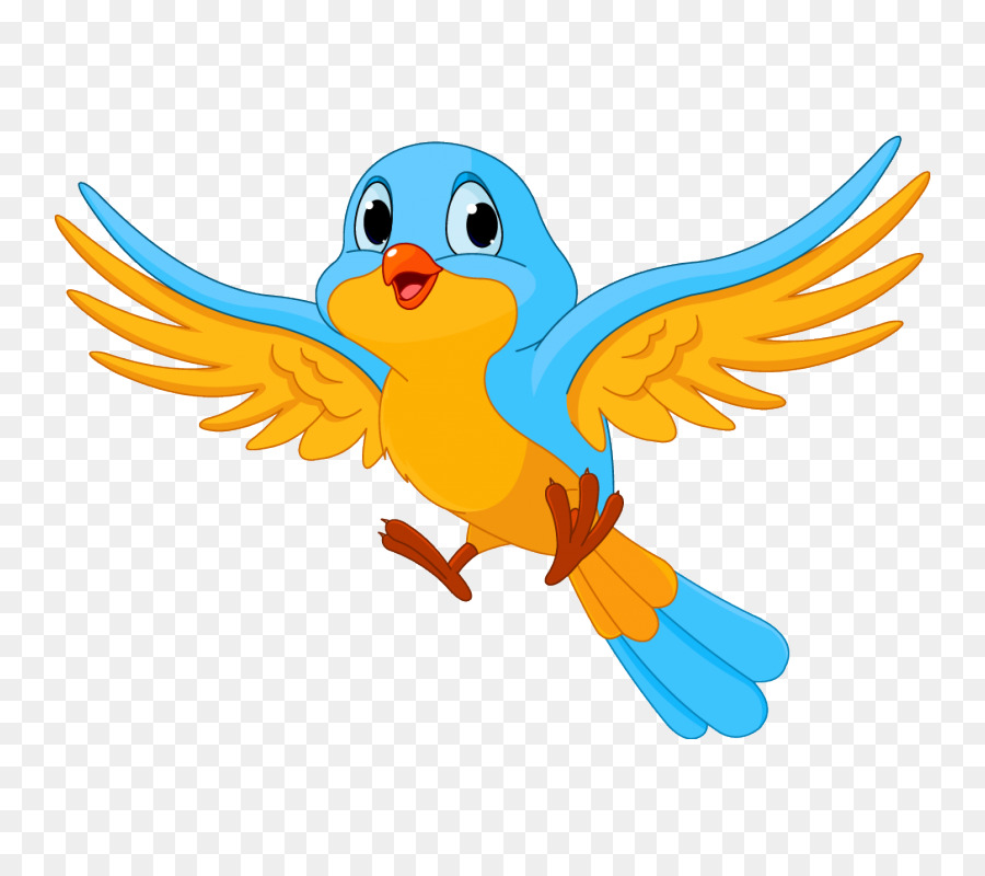 Bird flight Clip art - wall stickers decorative windows png download - 800*800 - Free Transparent Bird png Download.