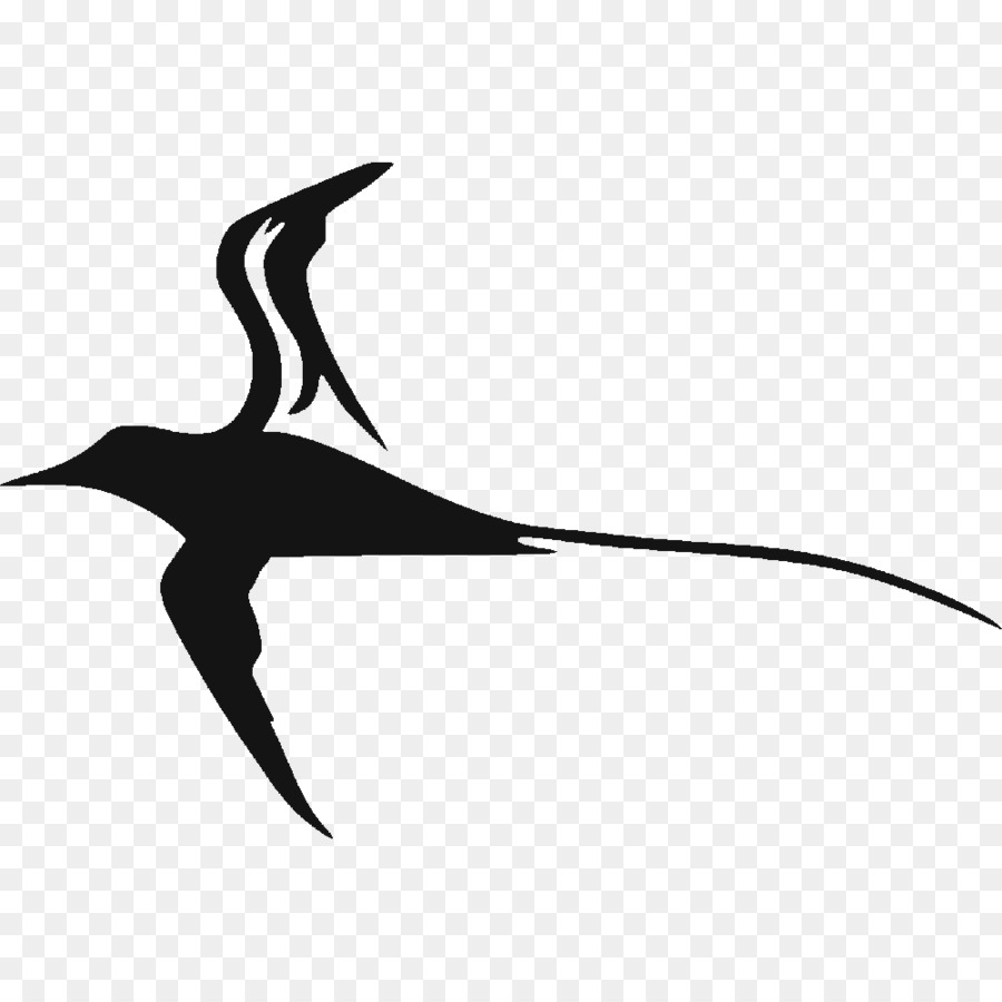 Sticker Decal Tropicbirds Logo - stickers label png download - 1000*1000 - Free Transparent Sticker png Download.
