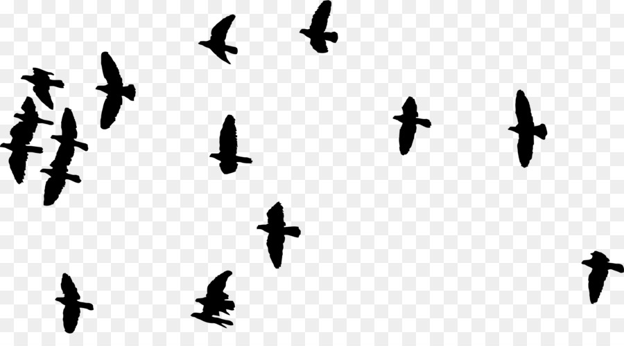 Bird Silhouette Prairie falcon - Bird png download - 1024*1024 - Free Transparent Bird png Download.