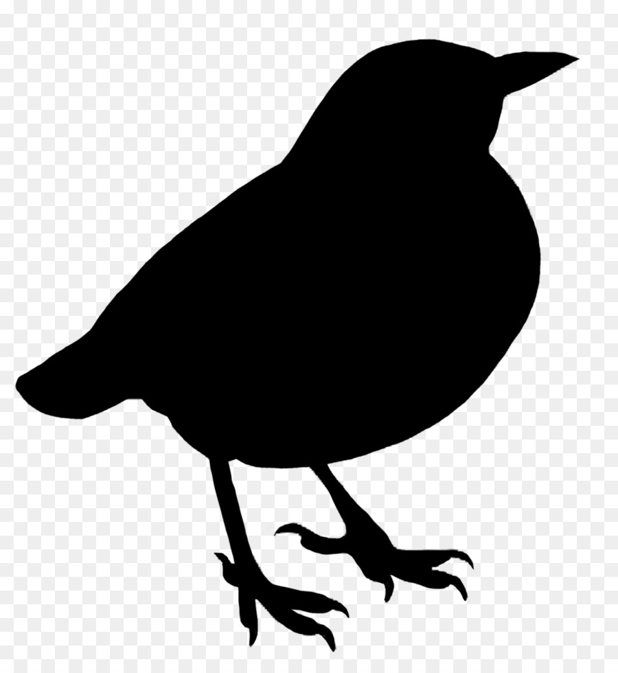 Bird Silhouette Royalty-free - Bird png download - 500*500 - Free Transparent Bird png Download.