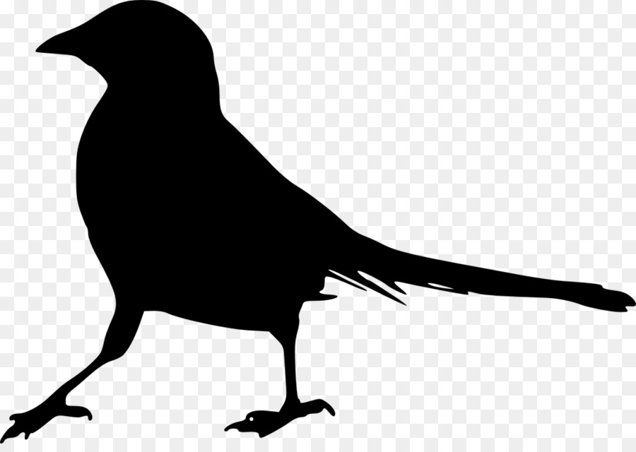 Bird Silhouette Gulls Clip art - Bird png download - 1024*714 - Free Transparent Bird png Download.