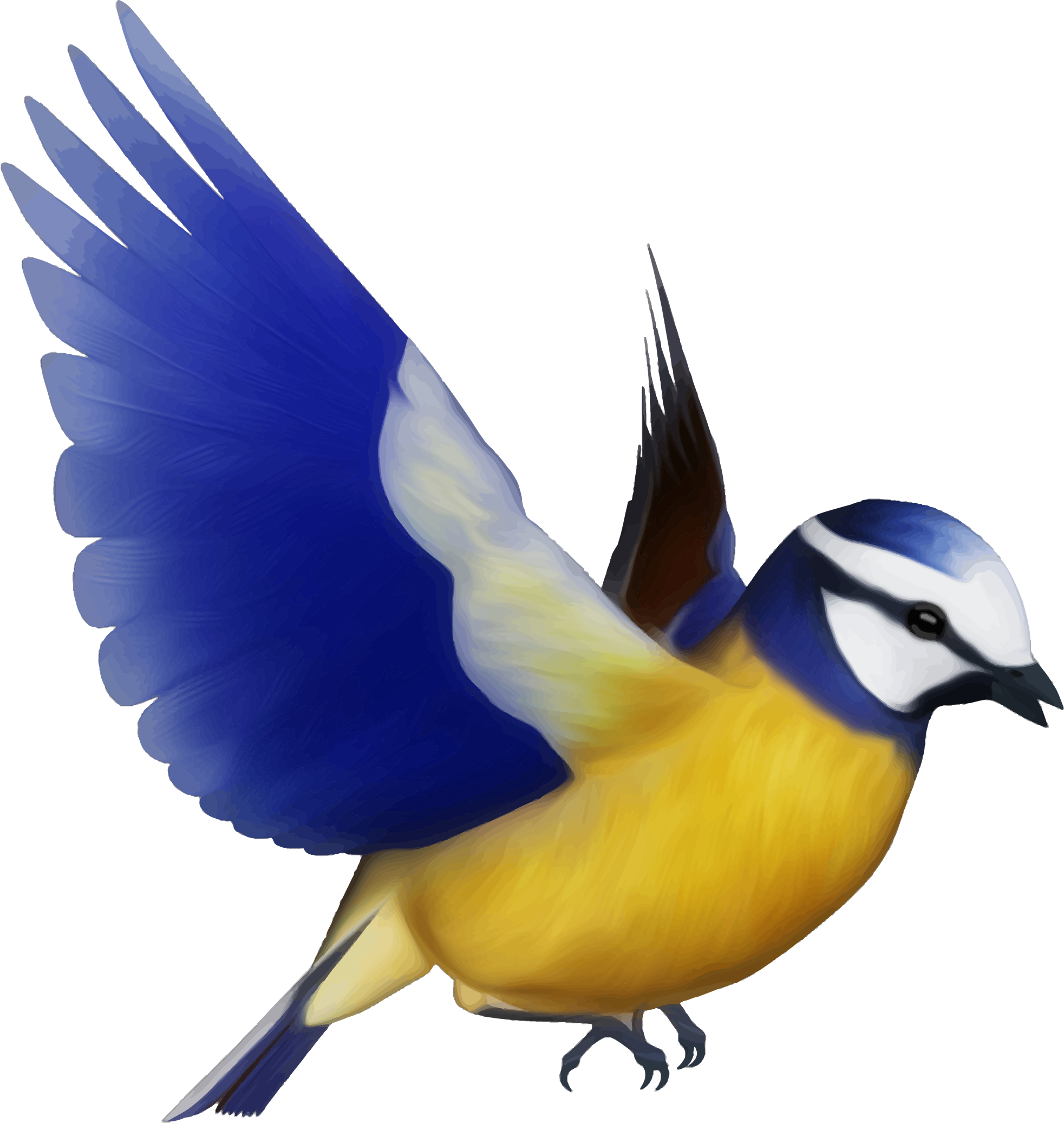 Flying Swallow Png Gambar Burung Kartun Png Transpare - vrogue.co