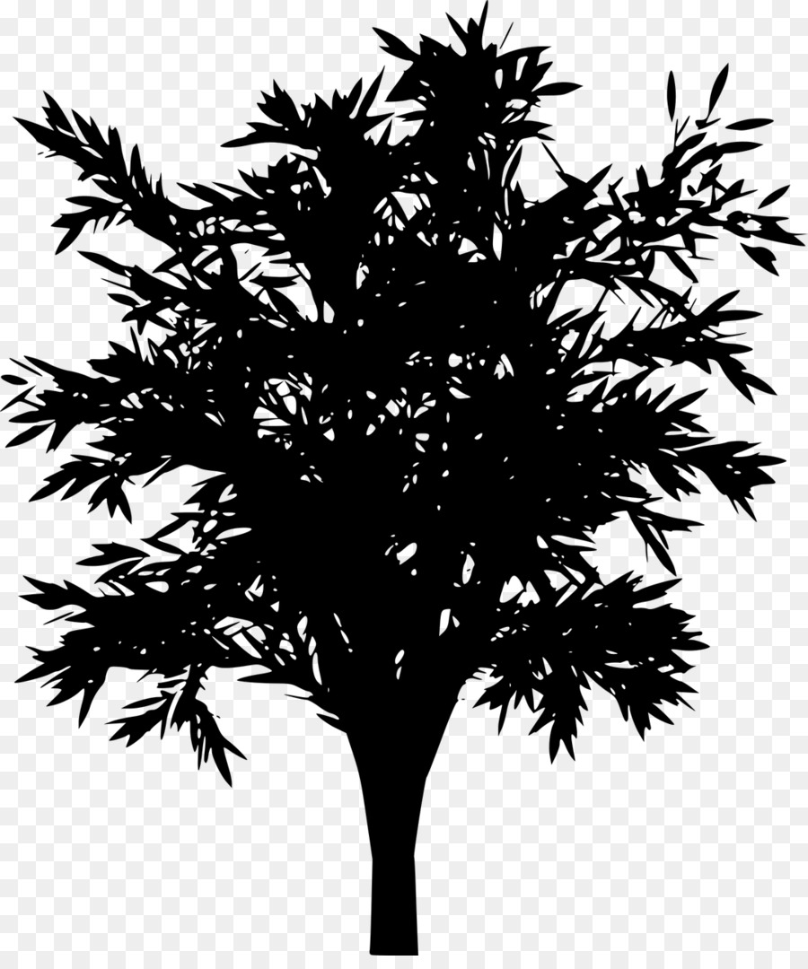 Choppi Bird Drawing Tree - tree silhouette png download - 1082*1280 - Free Transparent Choppi Bird png Download.
