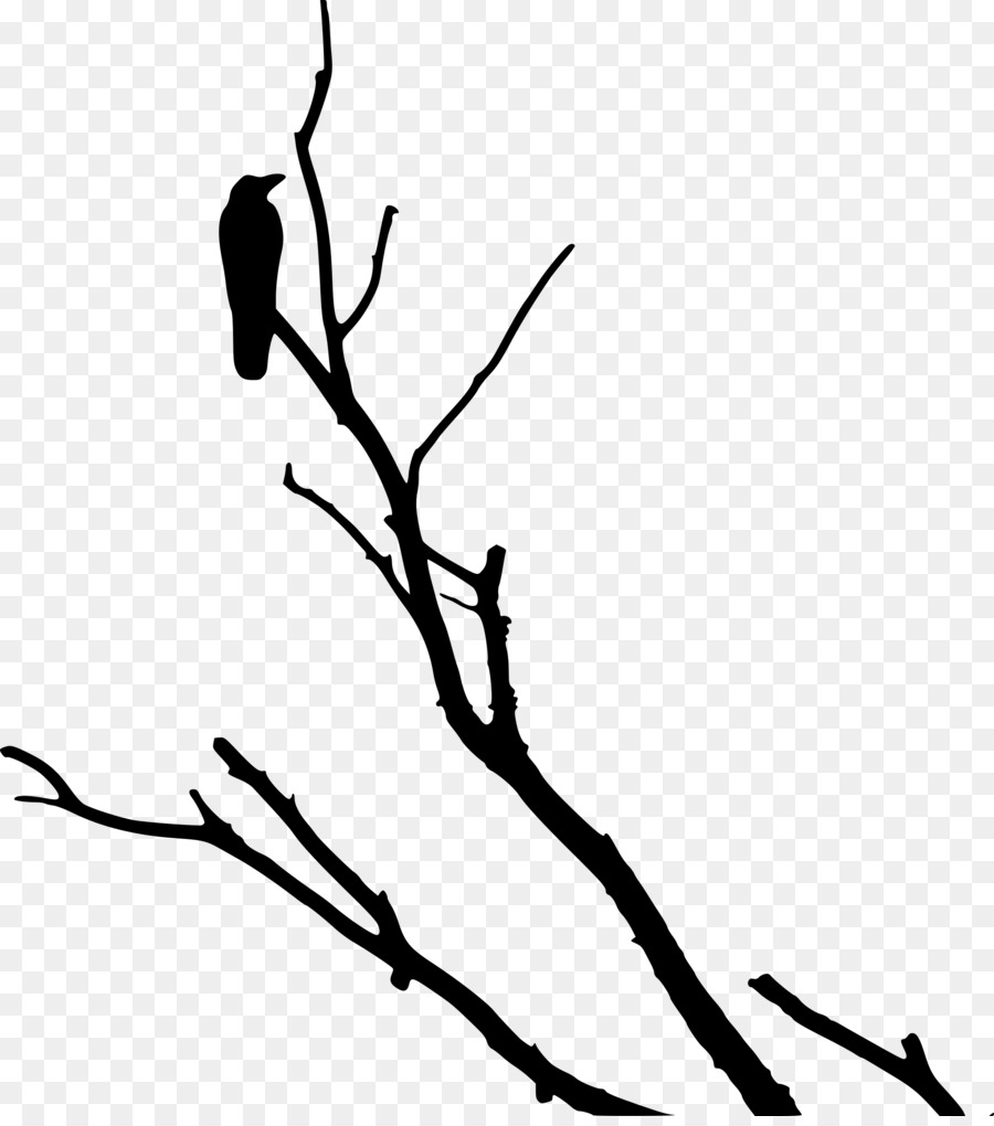 American crow Rook Bird Tree - crow png download - 2137*2400 - Free Transparent American Crow png Download.