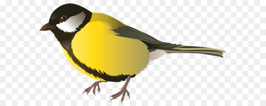 Bird Clip art - Bird PNG png download - 3000*1646 - Free Transparent Bird png Download.