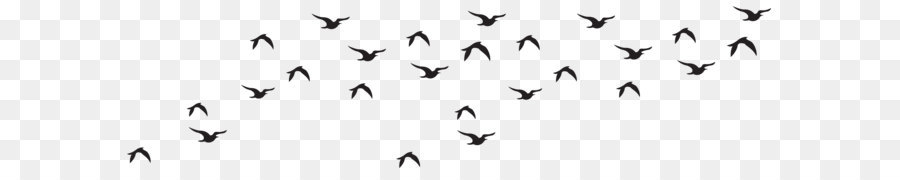 Bird Black and white Logo - Birds Flock Silhouette Clip Art Image png download - 8000*2087 - Free Transparent Bird png Download.