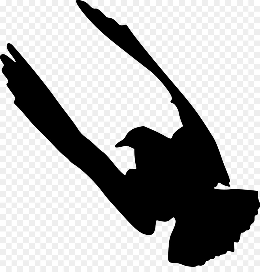 Silhouette Bird Clip art - birds silhouette png download - 1000*1024 - Free Transparent Silhouette png Download.