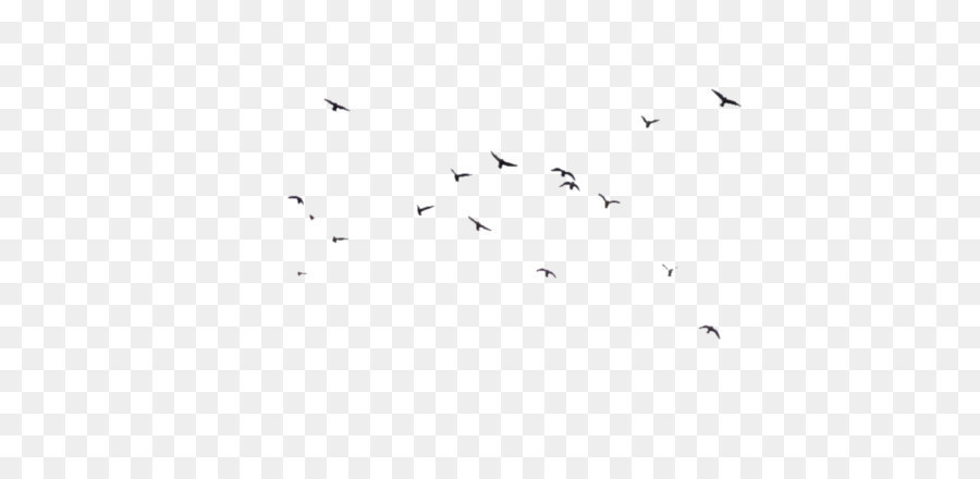 Black and white Angle Point Pattern - Birds fly floats png download - 880*592 - Free Transparent Black And White png Download.