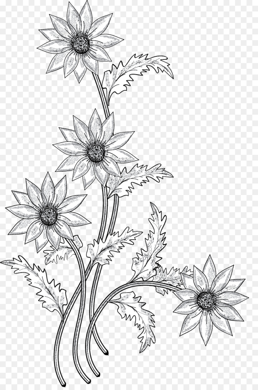 Flower Drawing Clip art - flower Drawing png download - 900*1351 - Free Transparent Flower png Download.