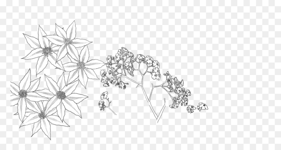 Drawing Line art Flower Black and white - flower Drawing png download - 1024*532 - Free Transparent Drawing png Download.