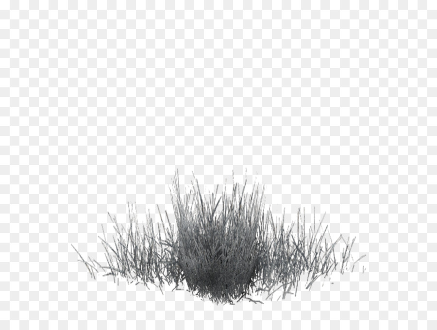 Black White Pattern - Winter grass png download - 1024*768 - Free Transparent Black png Download.