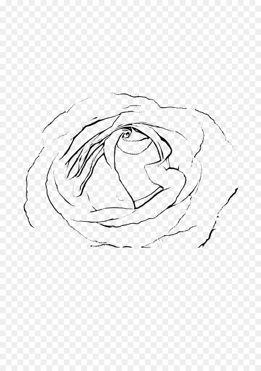 Black and white Sketch - rose clipart black and white transparent png download - 1697*2400 - Free Transparent  png Download.