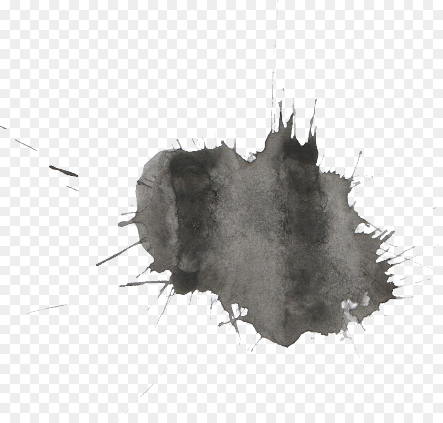 Watercolor painting Black and white Transparent Watercolor - Watercolor painting paintbrush png download - 1024*976 - Free Transparent Watercolor Painting png Download.
