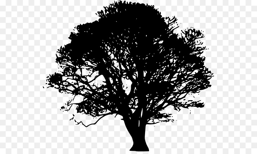 Tree Silhouette Clip art - tree png download - 600*531 - Free Transparent Tree png Download.