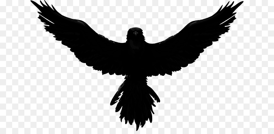 blackbird #mysterious #night #wings #silence | GenerateArt
