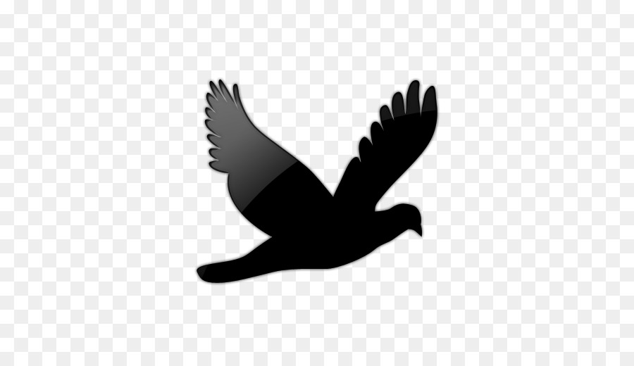 Bird Columbidae Flight Clip art - Blackbird Cliparts png download - 512*512 - Free Transparent Bird png Download.