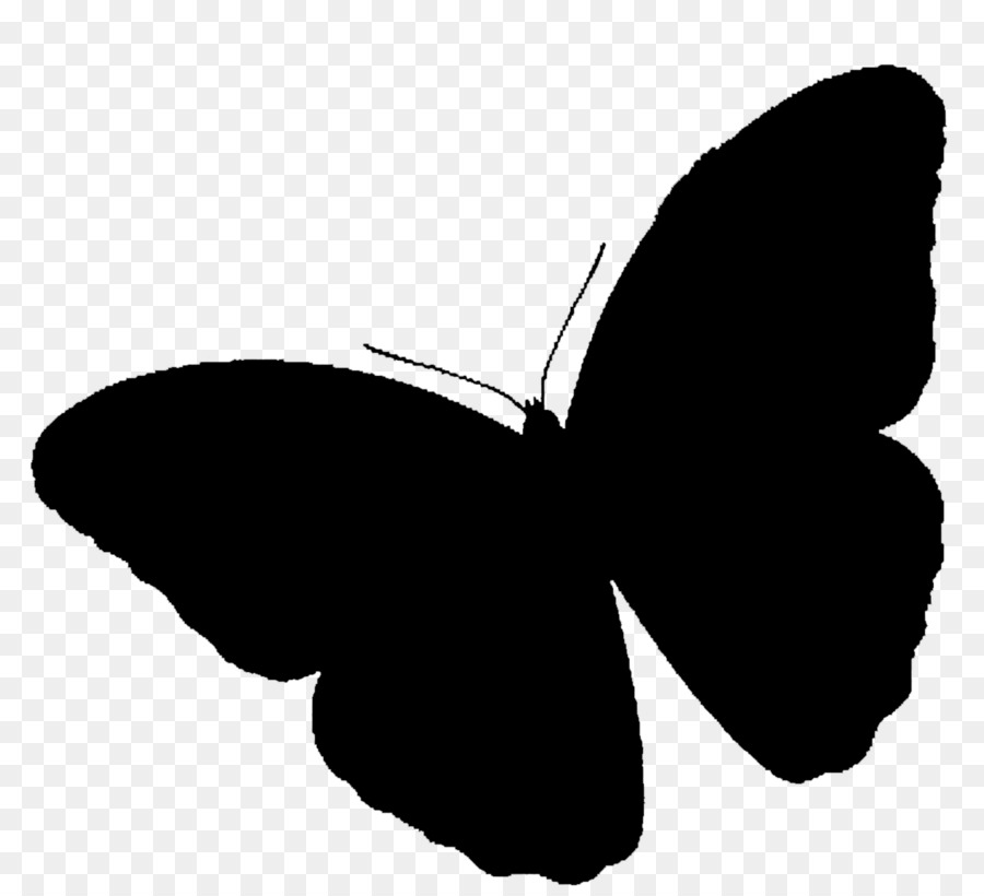 Brush-footed butterflies Clip art Silhouette Black M -  png download - 1920*1747 - Free Transparent Brushfooted Butterflies png Download.