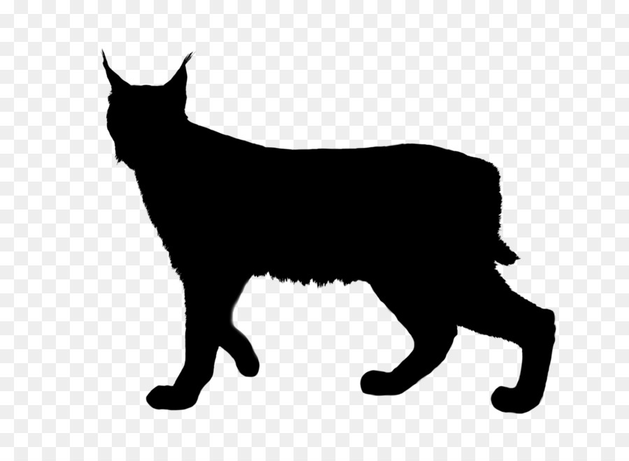 Ocelot Cat Lynxes Vector graphics Royalty-free -  png download - 2048*1483 - Free Transparent Ocelot png Download.