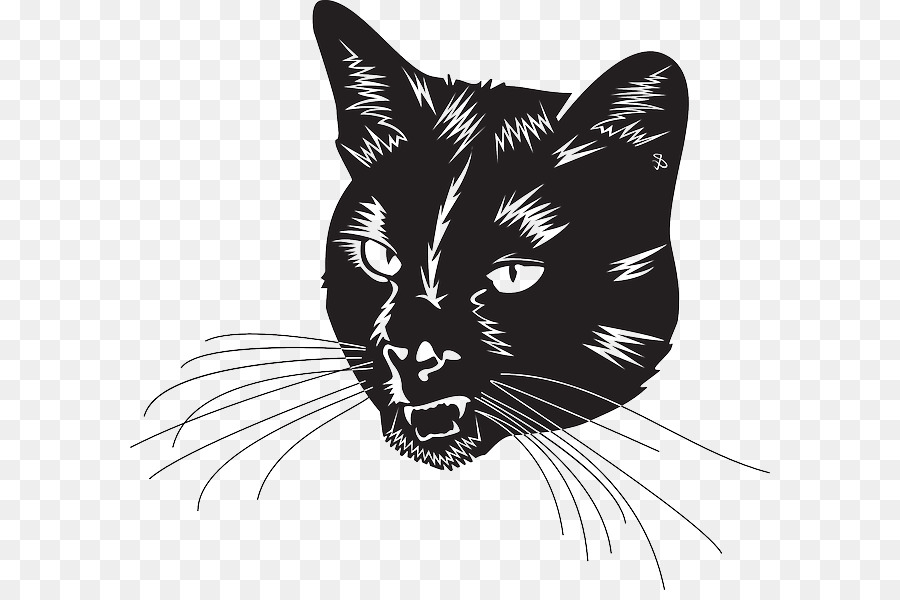 Cat Lion Tiger Clip art - Cat png download - 640*590 - Free Transparent Cat png Download.