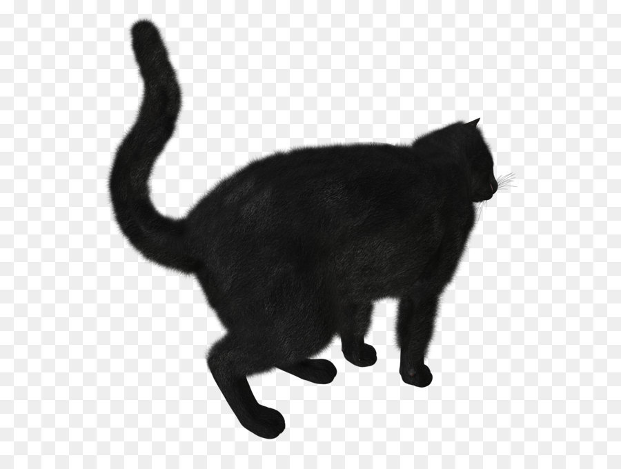 Black cat Kitten - Black Cat PNG image png download - 1490*1520 - Free Transparent Cat png Download.