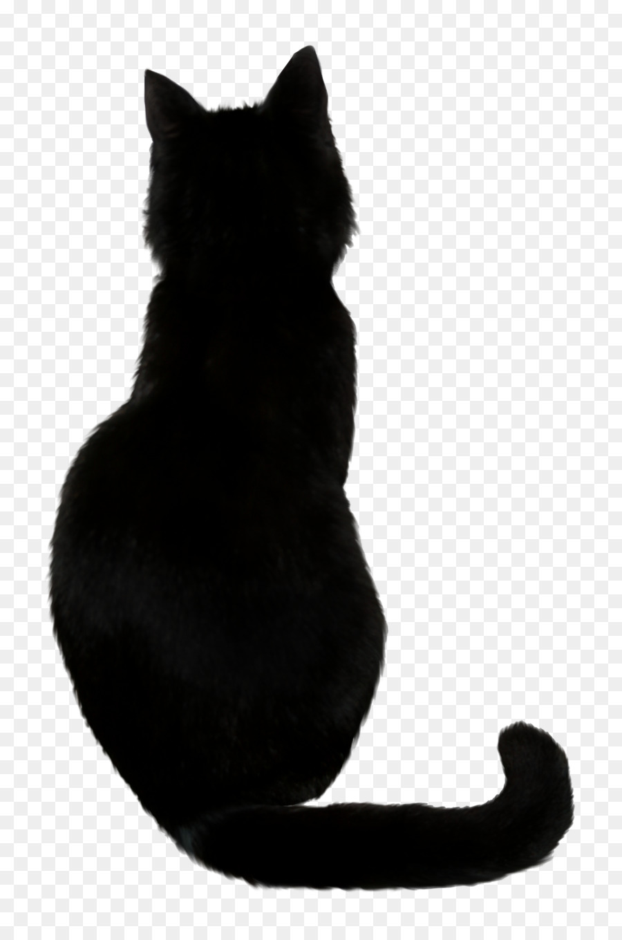 Black cat Kitten Drawing - Cat png download - 900*1350 - Free Transparent Cat png Download.