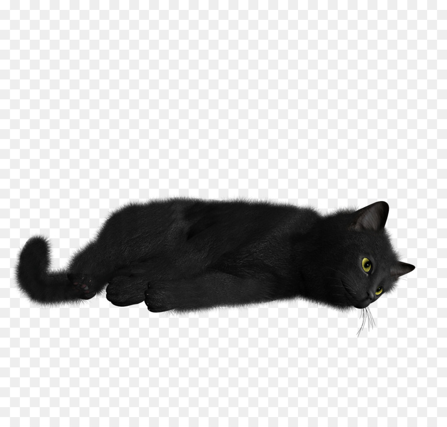 Black cat Kitten Desktop Wallpaper - cats png download - 1600*1520 - Free Transparent Cat png Download.