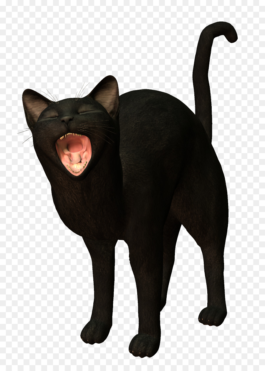 Black cat Kitten - Black Cat png download - 897*1248 - Free Transparent Cat png Download.