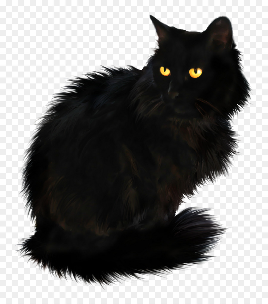 Persian cat British Longhair Kitten Black cat - long-haired png download - 900*1004 - Free Transparent Persian Cat png Download.