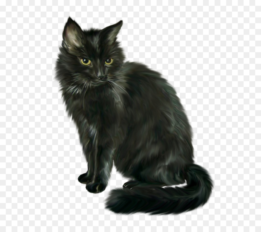 Siamese cat Black cat Halloween Clip art - Black cat png download - 599*800 - Free Transparent Siamese Cat png Download.